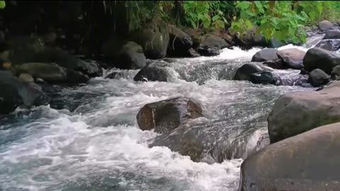 1 Hour Relaxing Sound of Beautiful River Water Flowing – Calms the Mind, Deep Sleep, Meditation