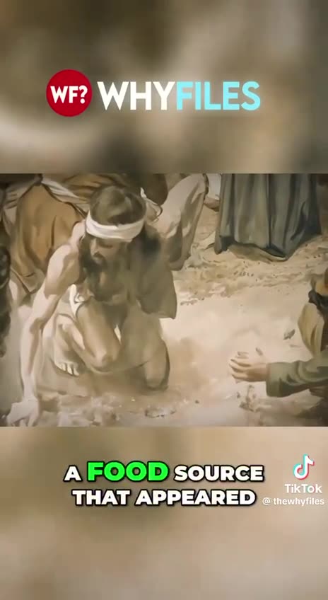 Ancient grid of Arks (of the Covenant) and Pyramids. Are they connected