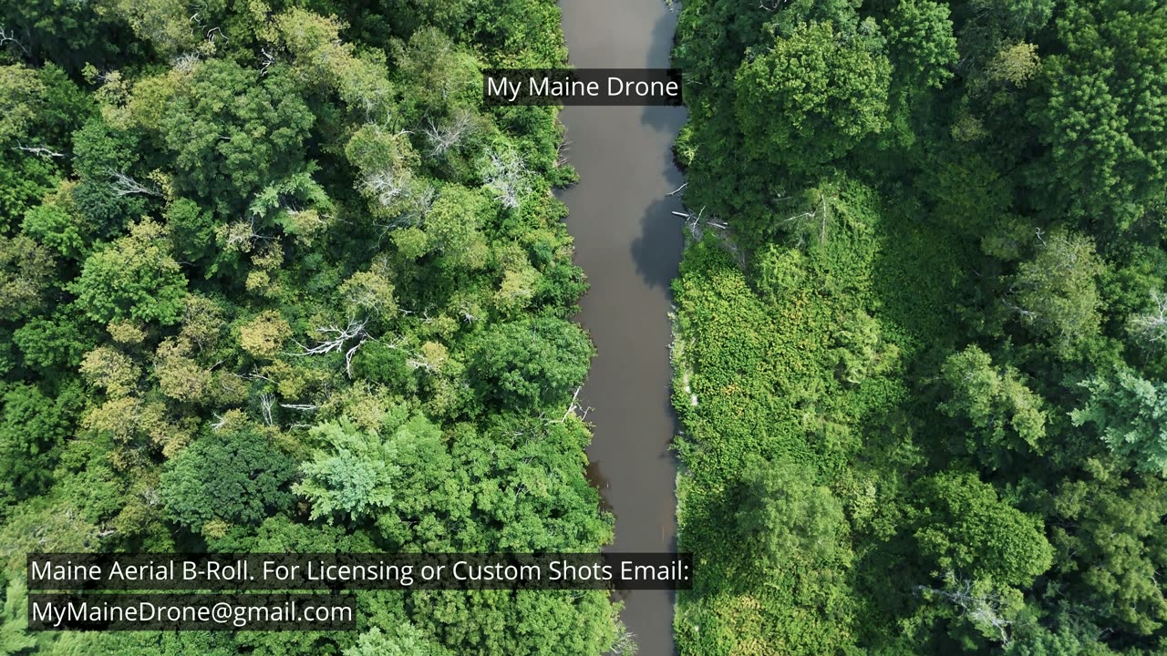 Maine B-Roll (No Audio): Yarmouth Maine Trees and River