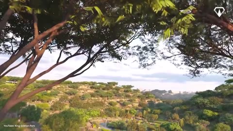 Warum Saudi-Arabien den größten Park der Welt baut