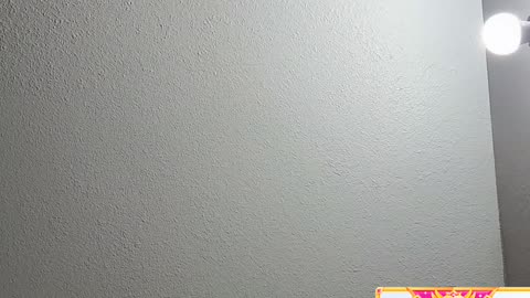 FLAWLESS SISTERS AKA SHANTEL SISTERS MAD AT PUMKEN BCUZ SHE WANTS SIR BB BROTHER