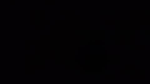 Milk Thistle Whistle