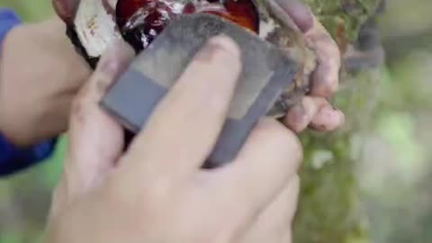 30 Steps, One Legacy: The Craftsmanship Behind Lacquered Shell-Inlaid Chopsticks