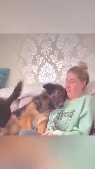 ♡🐾 We Love the Doggos and the Doggos Love Us ❤️