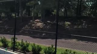 🤯🏀 Flexing Basketball Skills! | FunFM