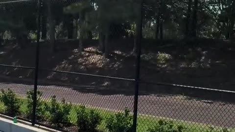 🤯🏀 Flexing Basketball Skills! | FunFM