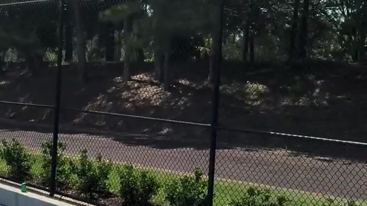 🤯🏀 Flexing Basketball Skills! | FunFM