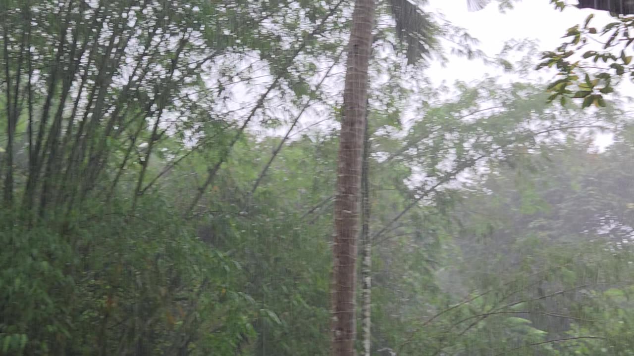Dry One Second, Swimming the Next: Welcome to the PHILIPPINES!