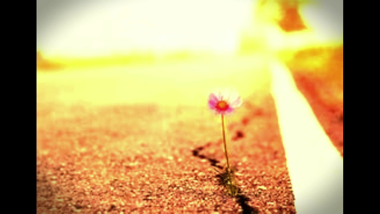 Returned to The Light (Antonio's Song Cover) / Sanctuary Church