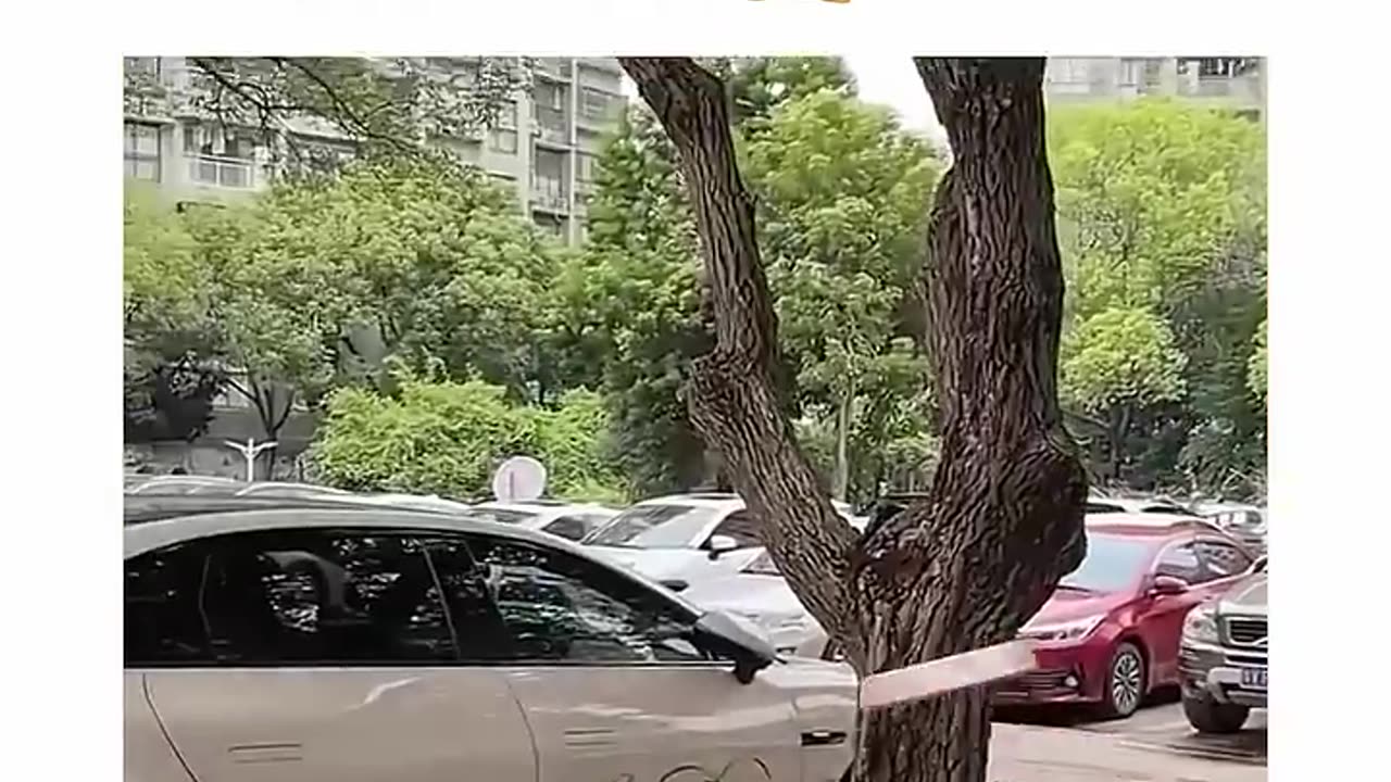 Nice advertisement 😂😂