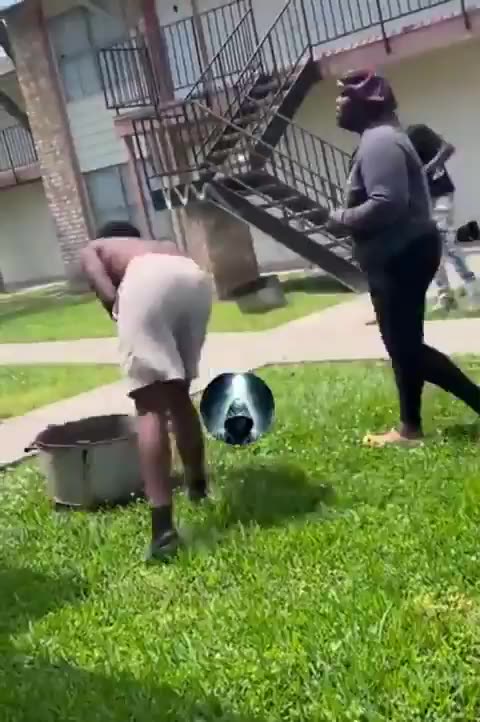 BLM Bonobos BRAWLIN' In The Projects SON!