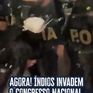 Deputada do PSOL faz vandalismo com indígenas em frente ao Congresso e dá carteirada na Polícia Legislativa. Esse é o pessoal que grita “sem anistia”.