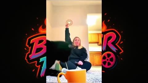 "Funniest Moments Between Cats - Hilarious Cat Interactions!"