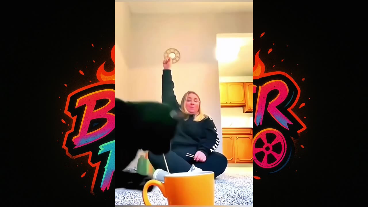 "Funniest Moments Between Cats - Hilarious Cat Interactions!"