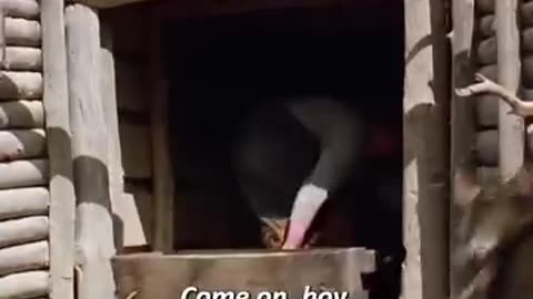 Funny