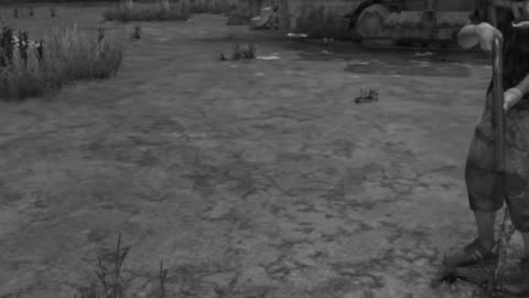 The DayZ Assassin
