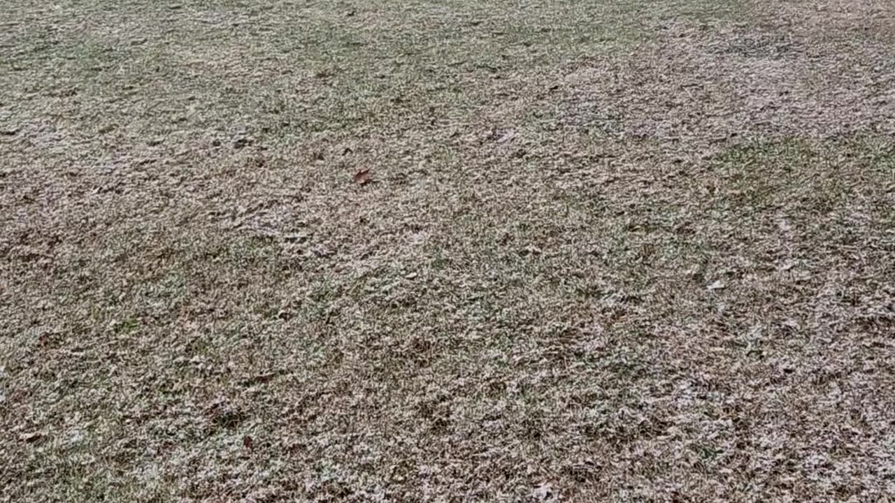First of the Snow