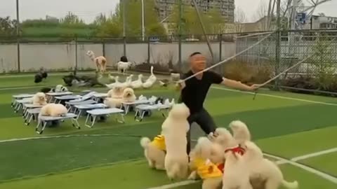 All fun