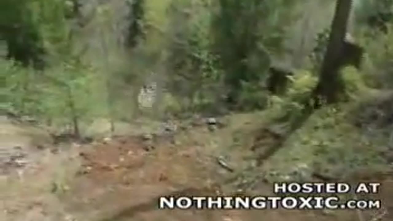 Chad Warden FUNNY Suicide! Drives Off A Cliff