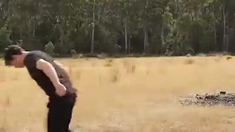 Animals doing Parkour funny moments - Fluffy Fails 🐶🤣