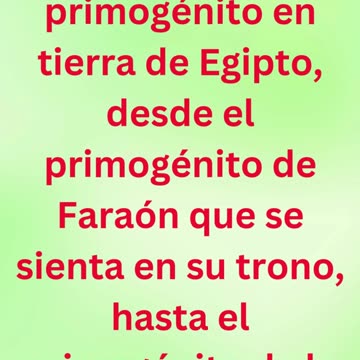 «El juicio sobre los primogénitos de Egipto» exodo 11:5,6 #shortvideo #shorts #youtube #youtubeshort