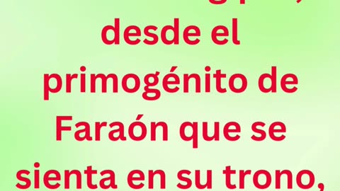 «El juicio sobre los primogénitos de Egipto» exodo 11:5,6 #shortvideo #shorts #youtube #youtubeshort