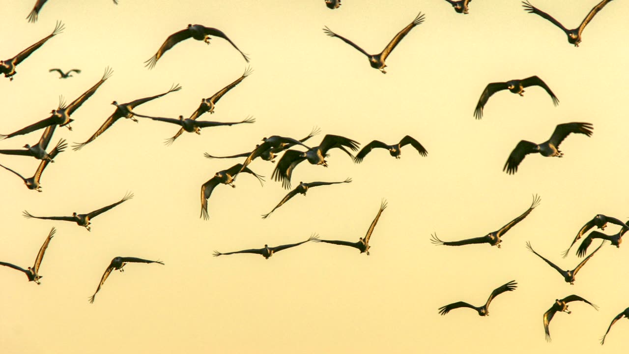 The Visual Bible Verse of the Day: Called to the Meeting Togethe