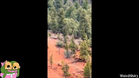 A new video of an alleged 'Bigfoot' on the upper Colorado River