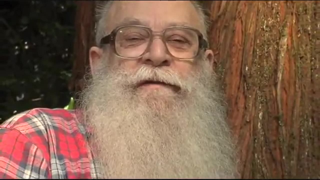 A New Age, Billy Meier, Hollow Earth