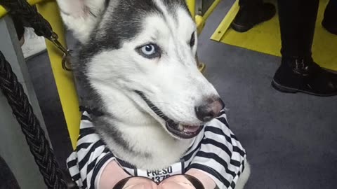 Only Crime Dante Committed Was Stealing Hearts