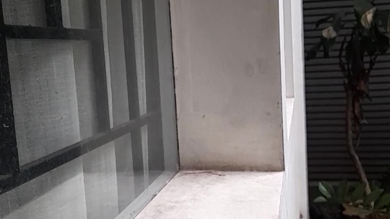 Human Footprints on Nature