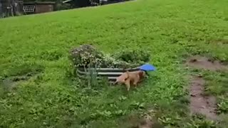 😂🌧️ This Clever Trick to Avoid Rain Will Leave You in Stitches! | FunFM