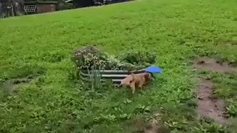 😂🌧️ This Clever Trick to Avoid Rain Will Leave You in Stitches! | FunFM