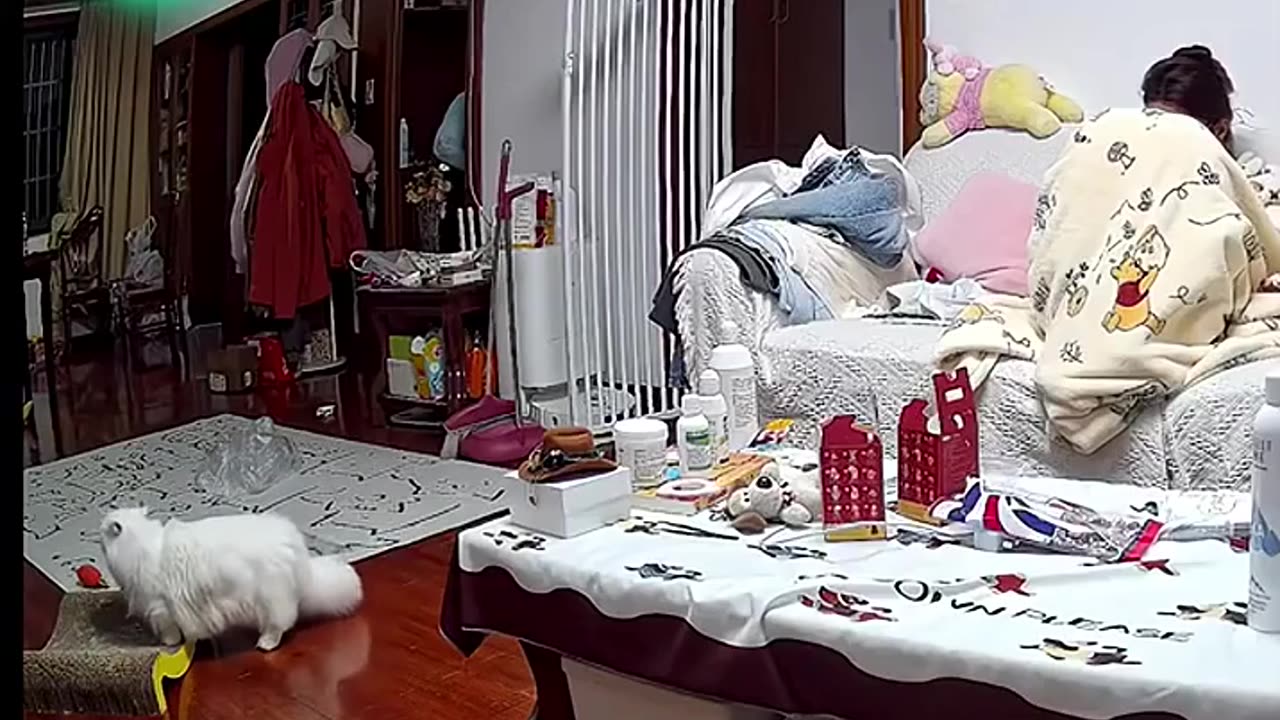 Cat just woke up and didn't know the owner was home.. 😻😴