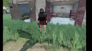DayZ PVE