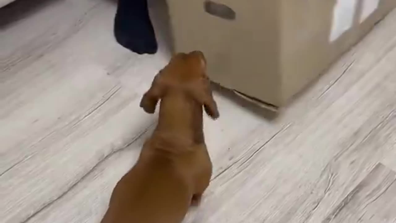 Woe Day 45. I am in the ark. Waiting for GOD to open the Door for a spring/summer Pentecost rapture