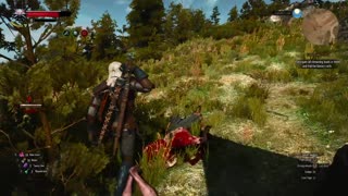 Witcher 3 part 9