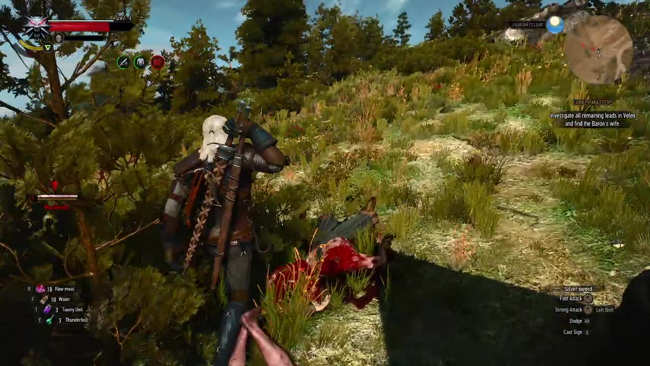 Witcher 3 part 9