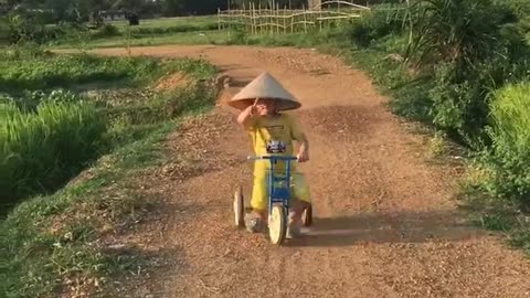 Vietnam countryside scene part 2