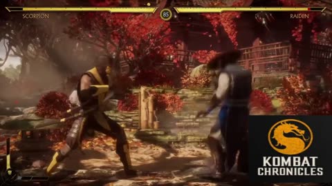 Scorpion vs. Raiden