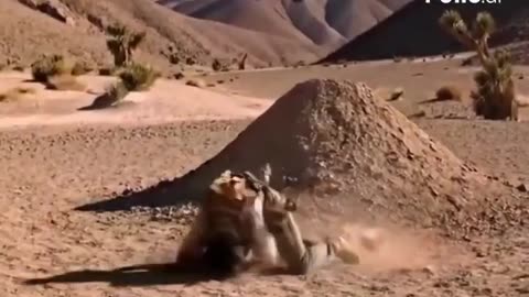 recreacion IA no es exacto pero se cuenta la historia