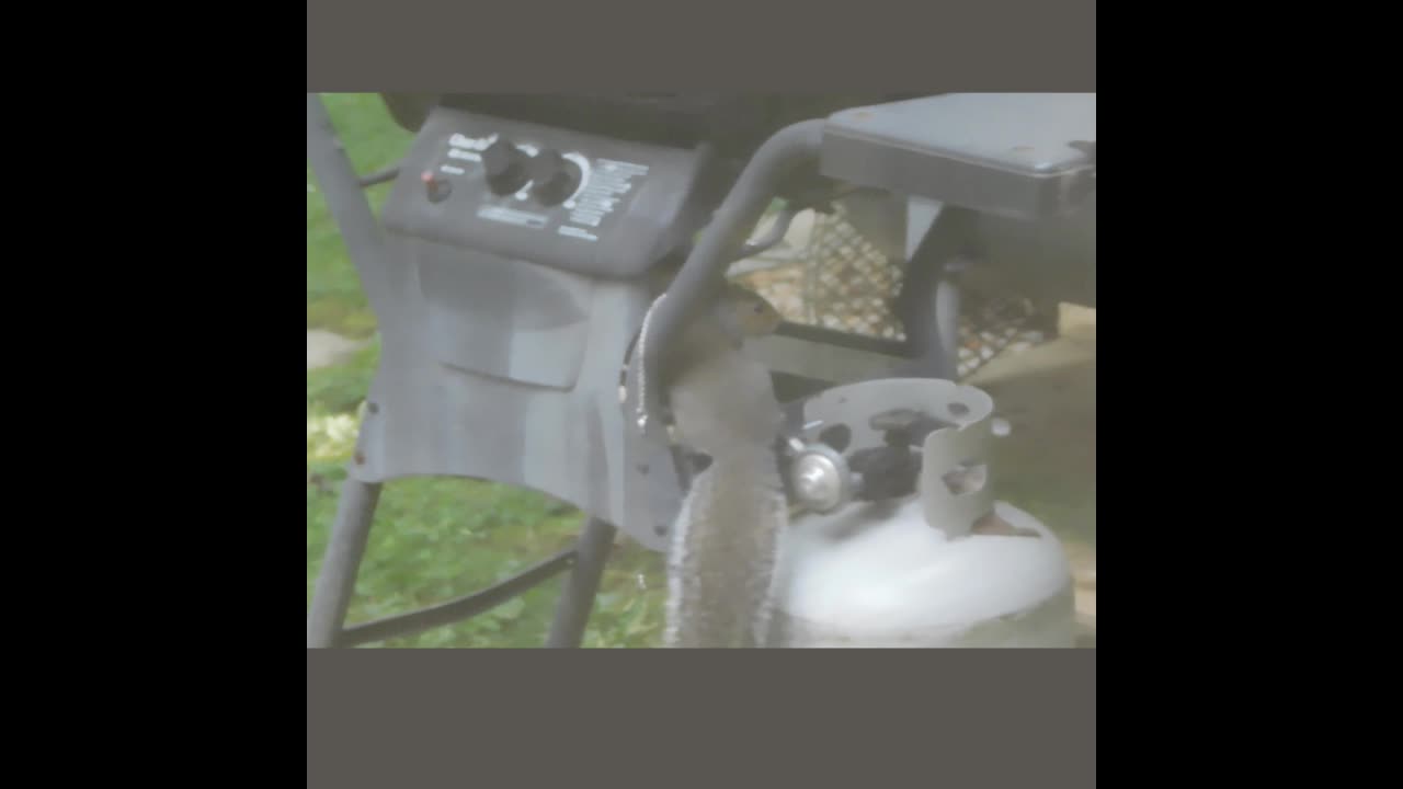 For The Birds - Brian And Brian