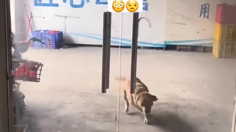 Viral