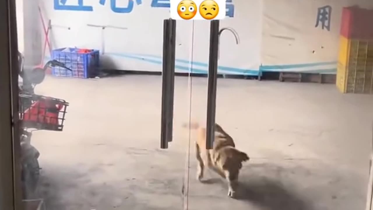 Viral