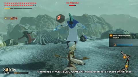 Hyrule Warriors Age Of Calamity Guerreros De Hyrule La Era De Calamidad Winged Escort