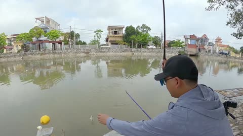 Sunfish Fly Casting in Lake Weed Zones