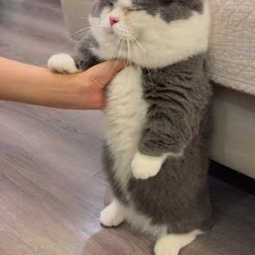 😣👉 "Just Say It! 😣 Don’t Always Point the Finger at Me!"