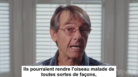 Mike Yeadon sur la grippe aviaire