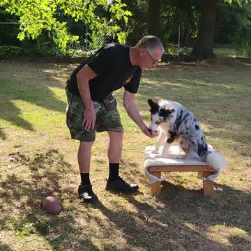 Structured Play Games Training and Practice short e