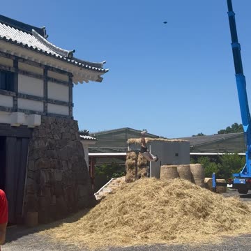 This video is better than Assassin’s Creed Shadows. Leap of Faith Brought to Life by Dominic Di Tommaso!